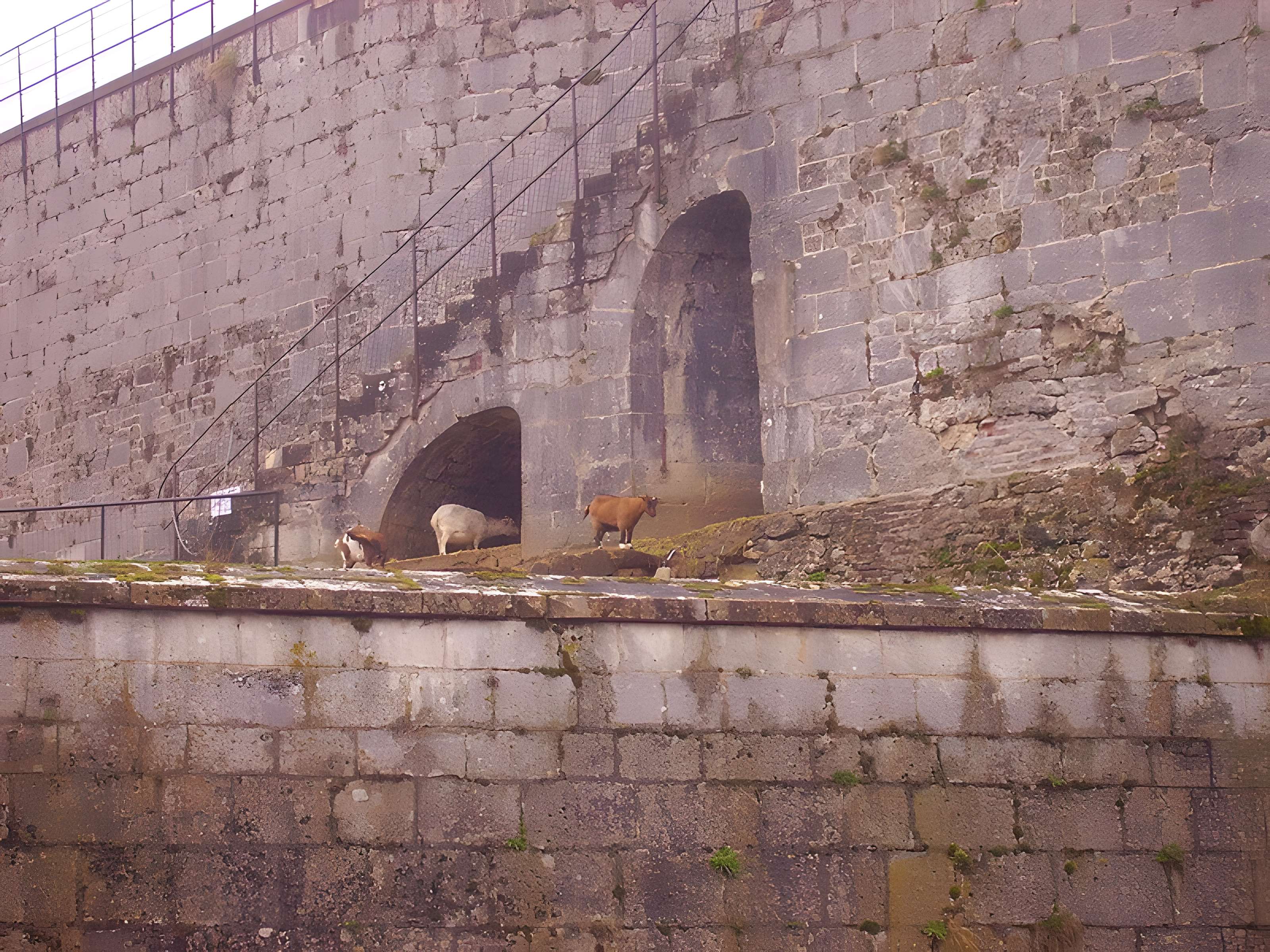 Muséum d'histoire naturelle