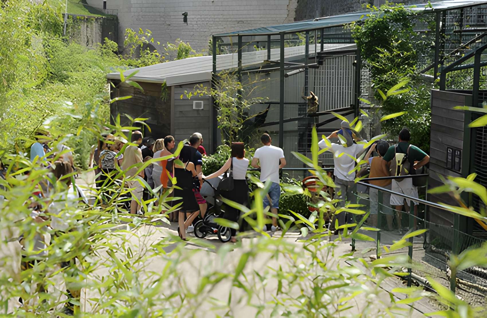 Muséum d'histoire naturelle