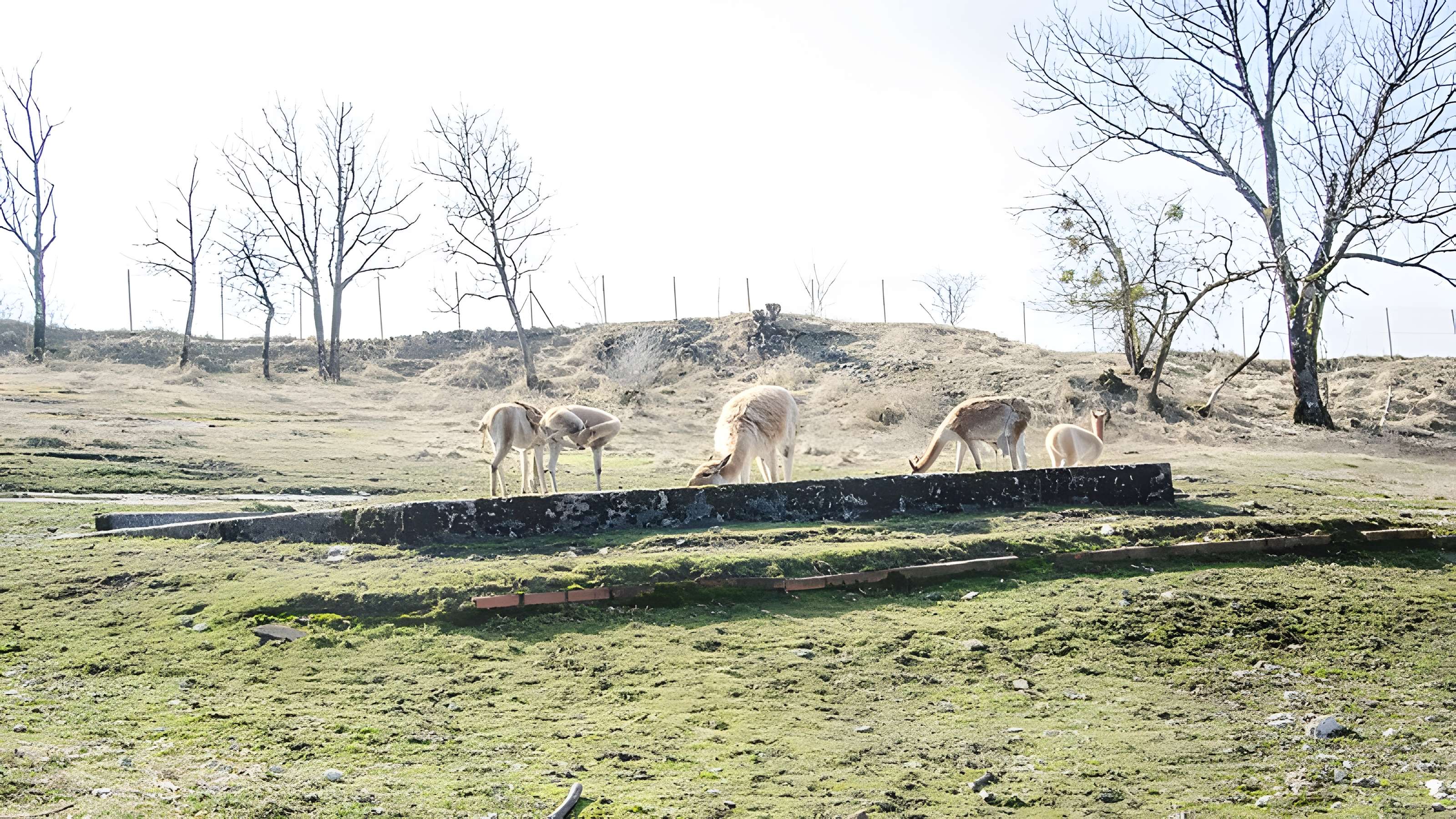 Muséum d'histoire naturelle