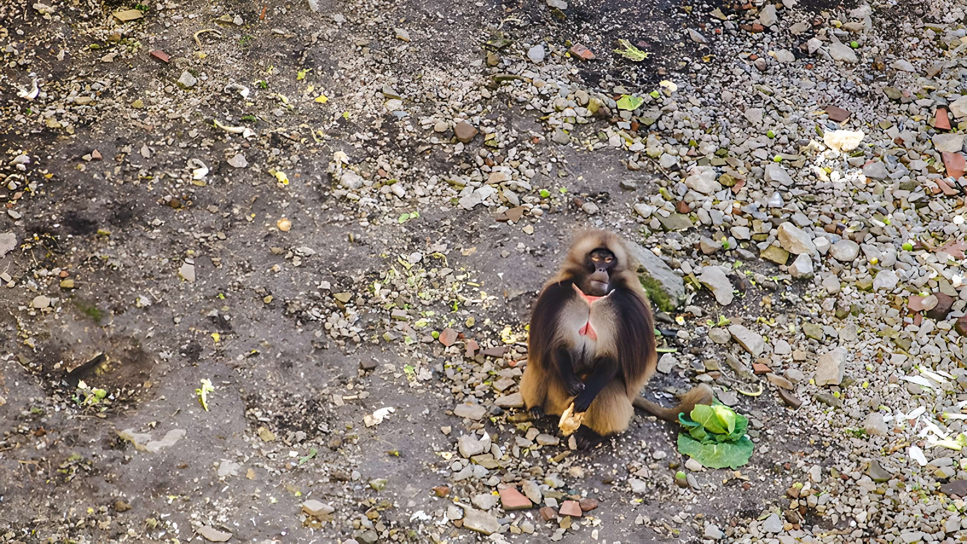Muséum d'histoire naturelle