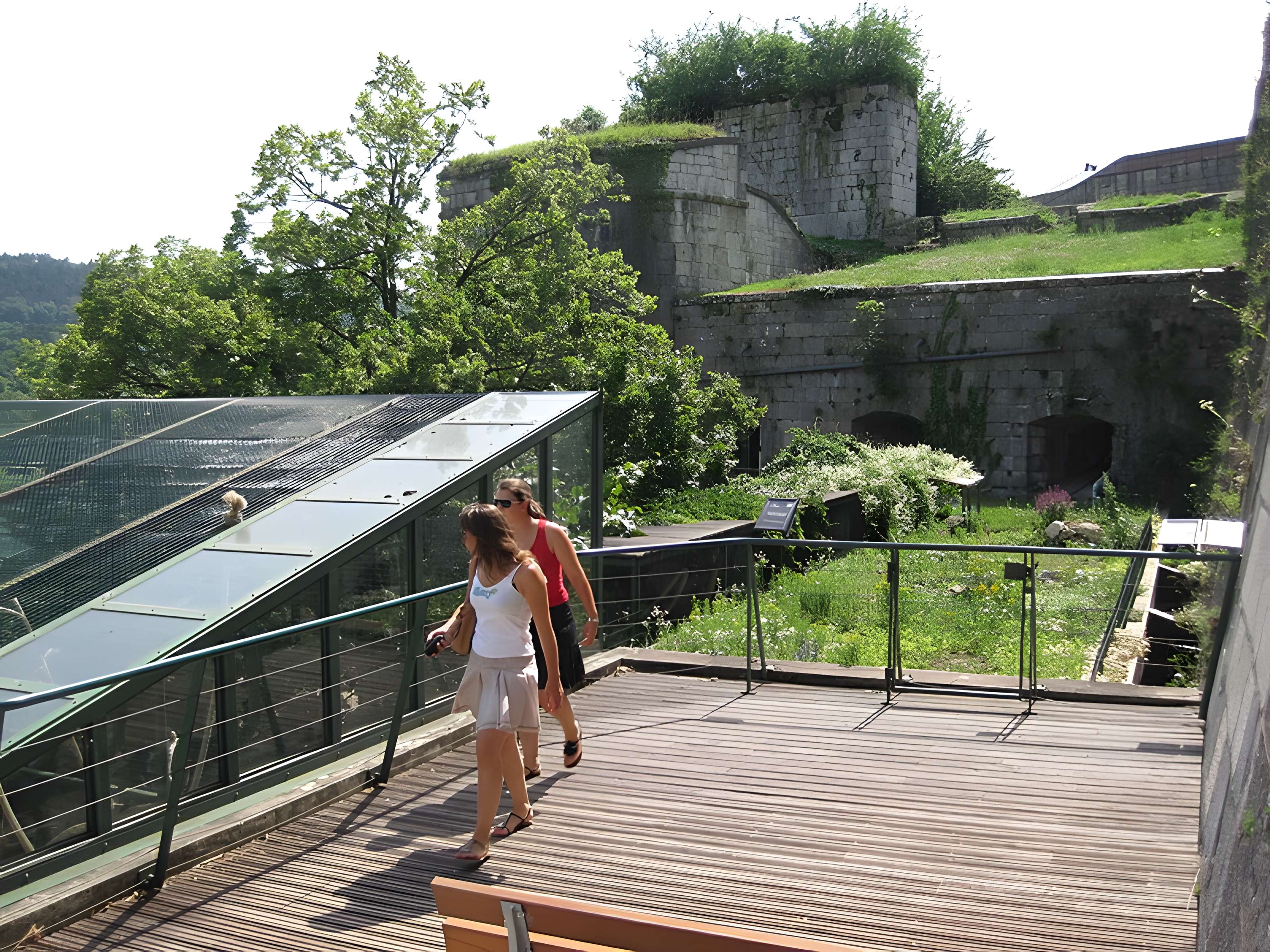 Muséum d'histoire naturelle