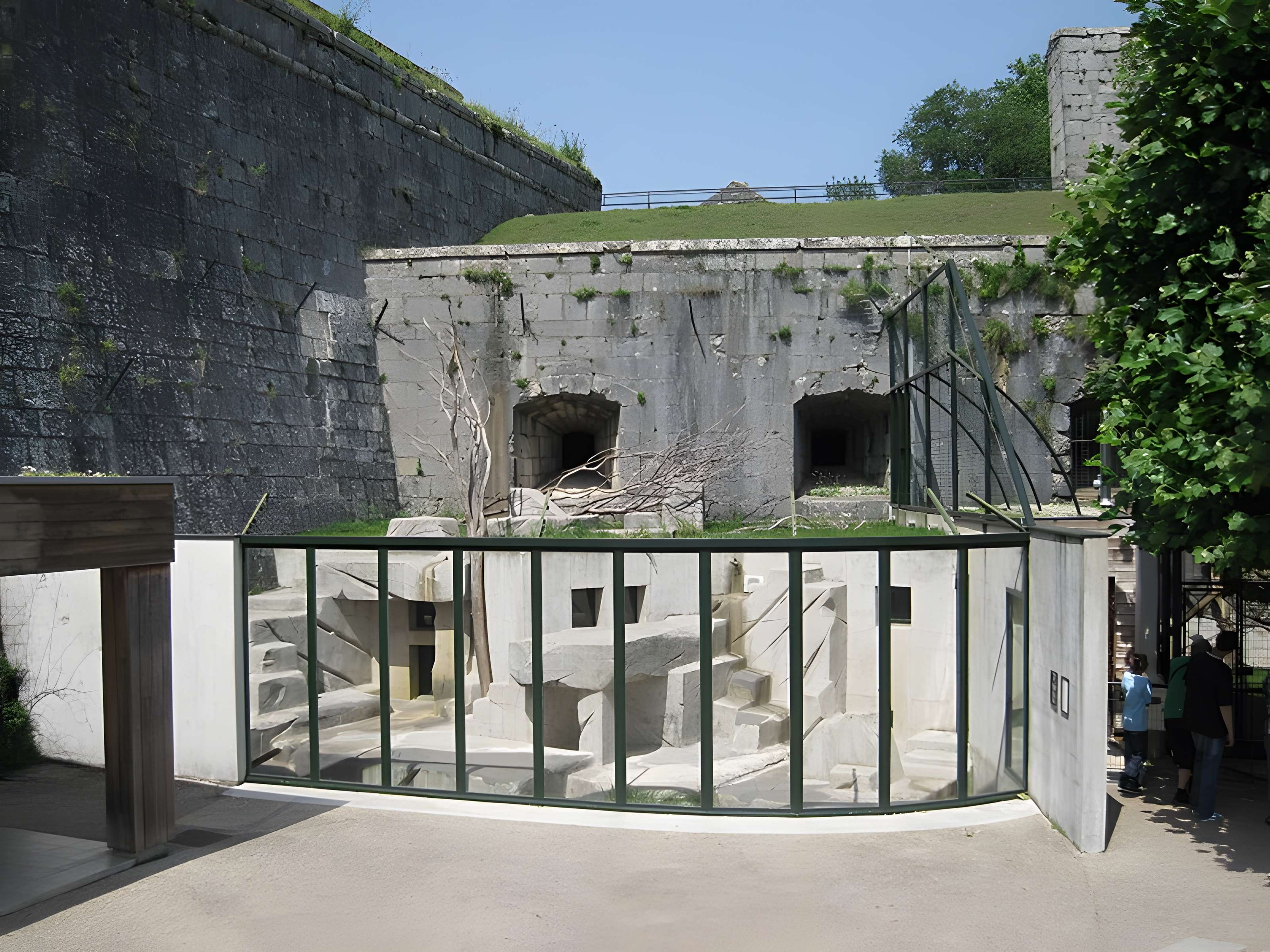 Muséum d'histoire naturelle