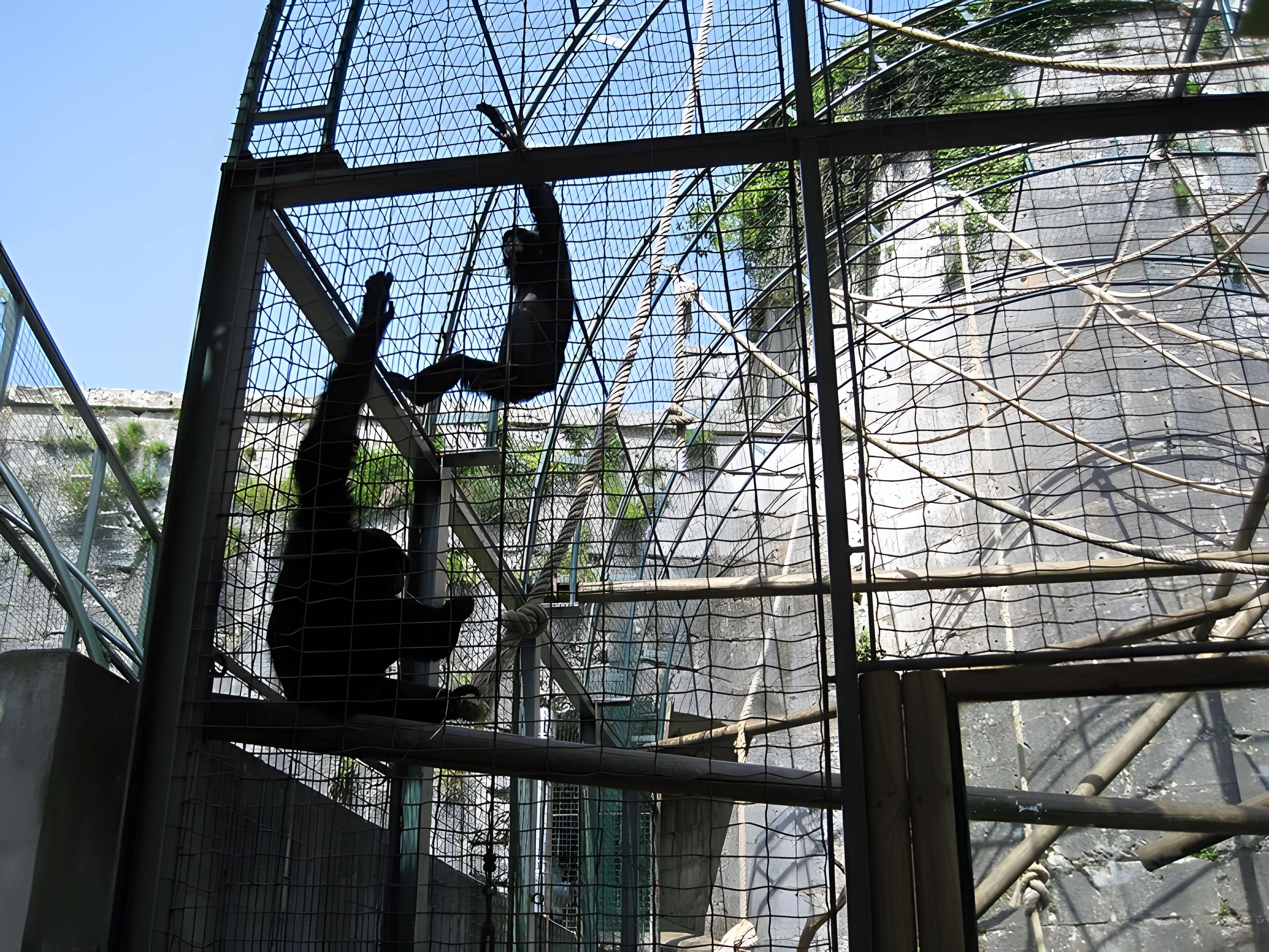 Muséum d'histoire naturelle