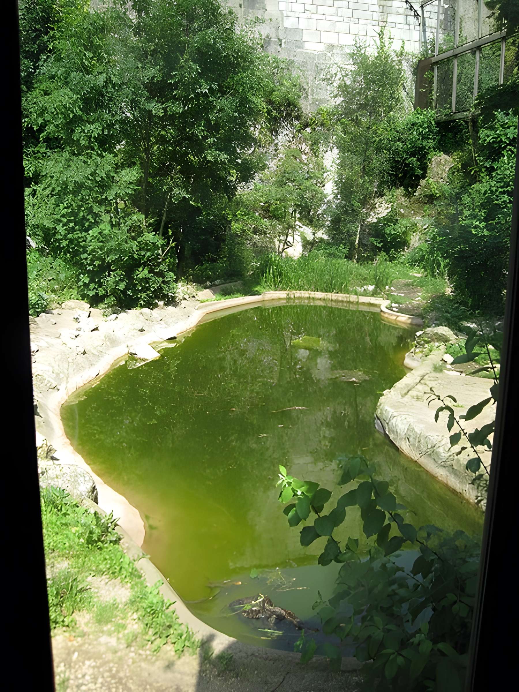 Muséum d'histoire naturelle