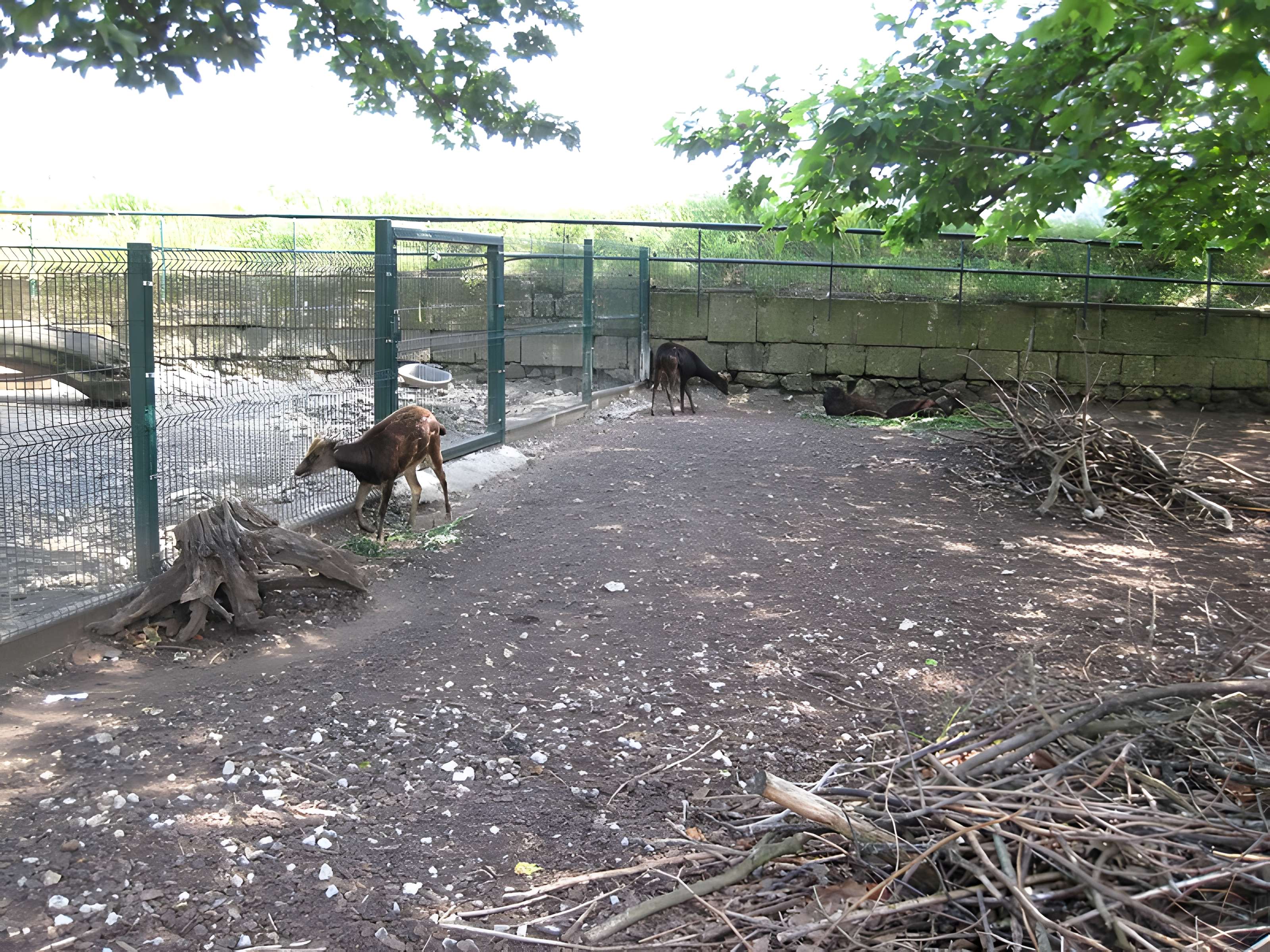 Muséum d'histoire naturelle