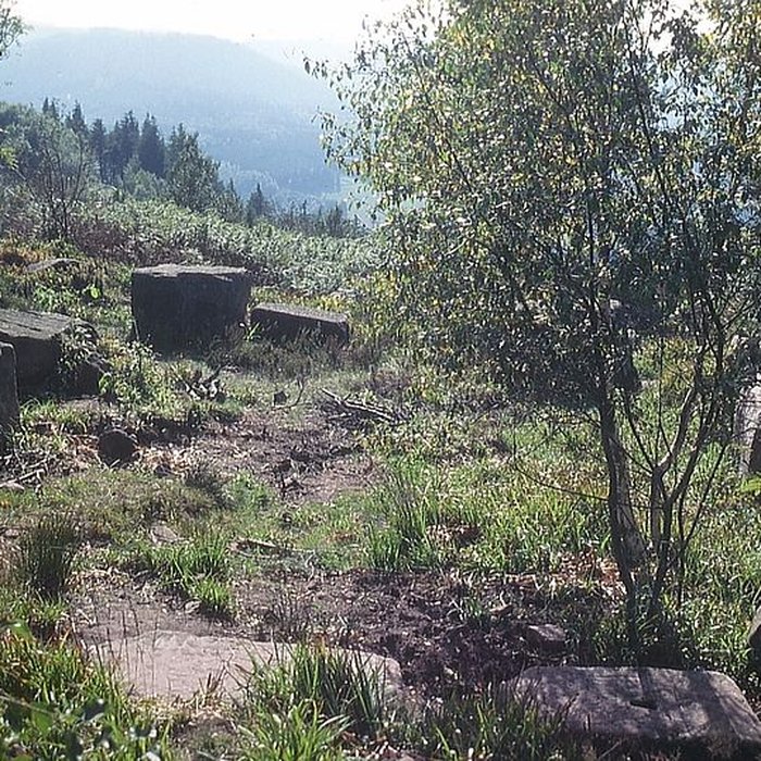 Photo de Temple du Donon à Grandfontaine