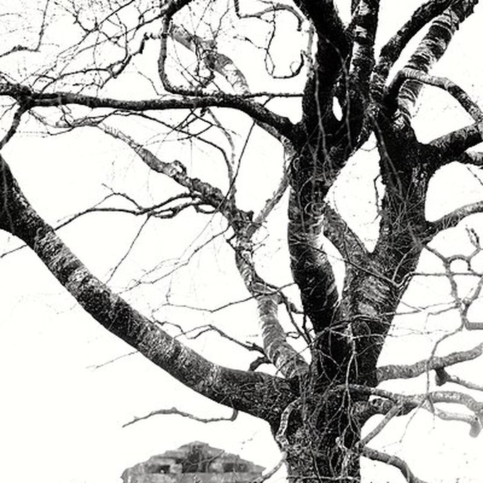 Photo de Temple du Donon à Grandfontaine