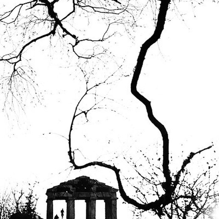 Photo de Temple du Donon à Grandfontaine