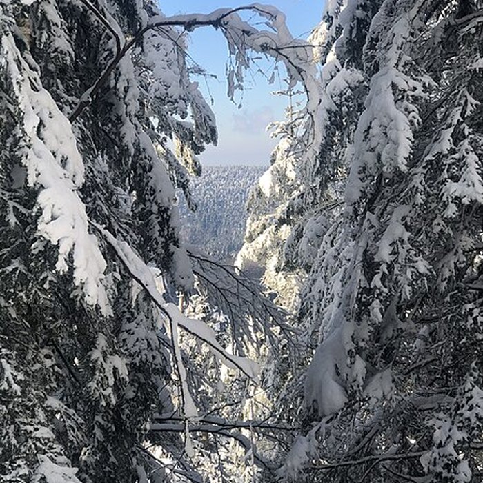 Photo de Temple du Donon à Grandfontaine