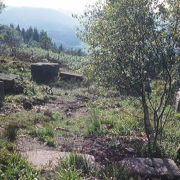 Temple du Donon à Grandfontaine