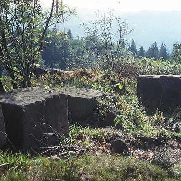Temple du Donon à Grandfontaine