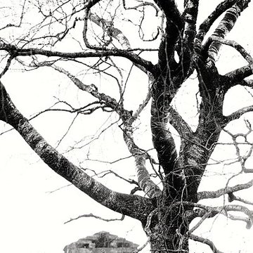 Temple du Donon à Grandfontaine