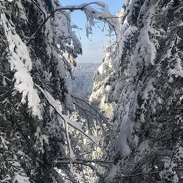 Temple du Donon à Grandfontaine