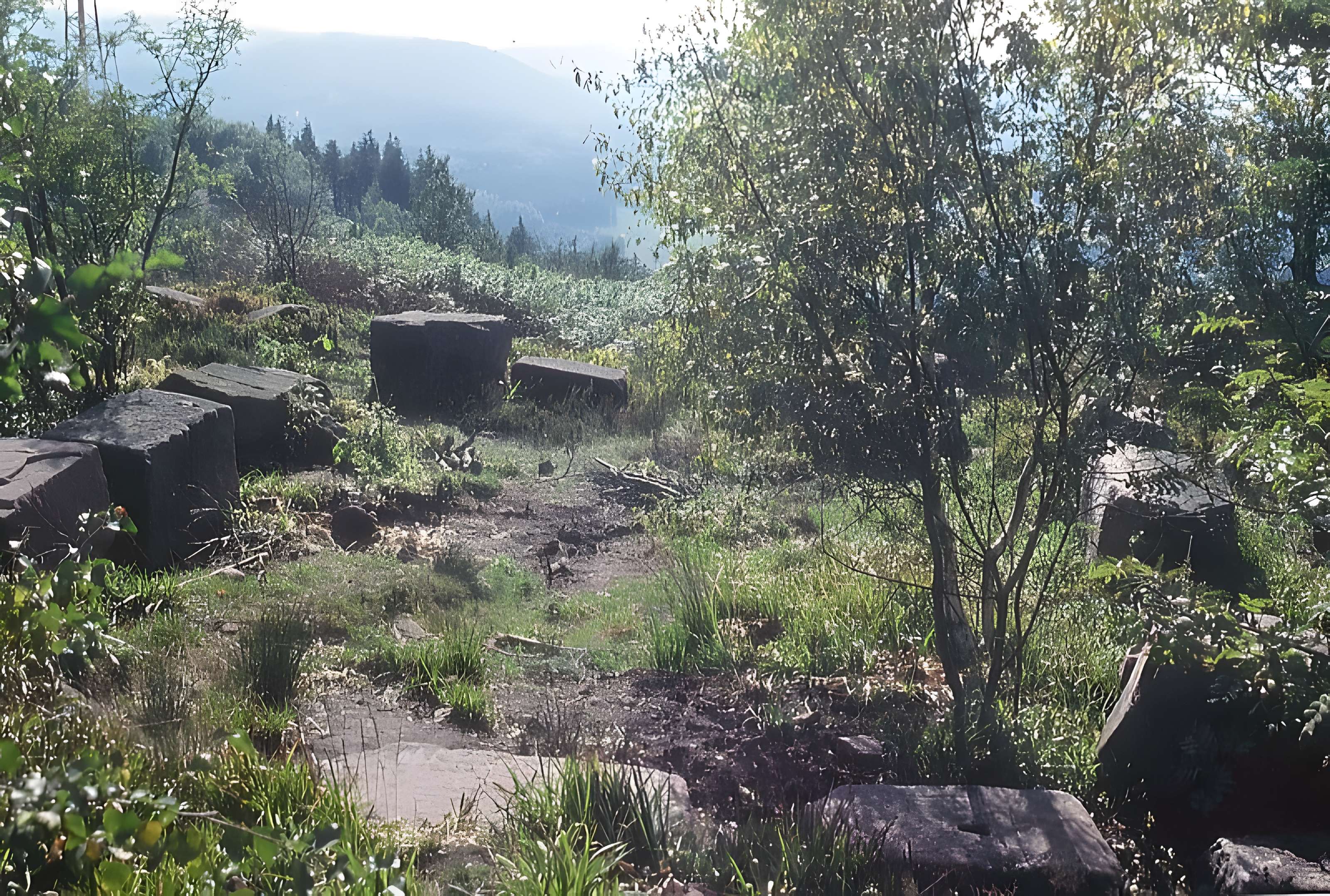Temple du Donon à Grandfontaine
