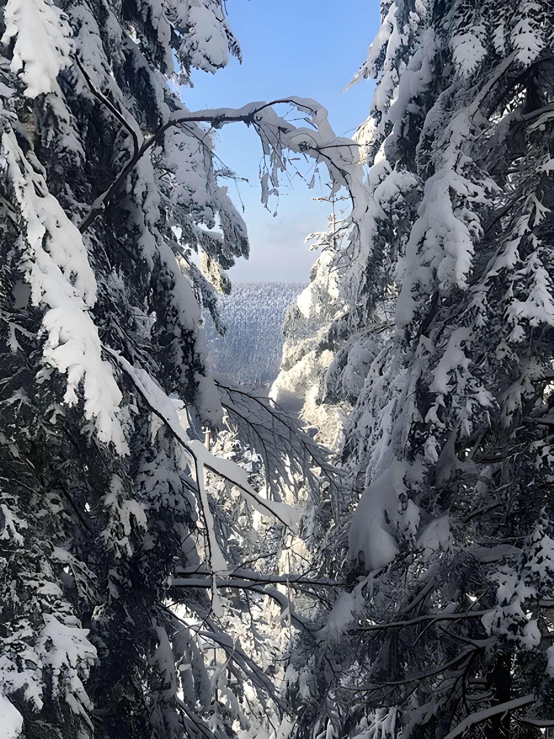 Temple du Donon à Grandfontaine