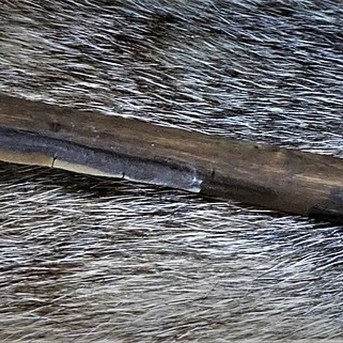 Photo de Musée de la préhistoire du Vercors