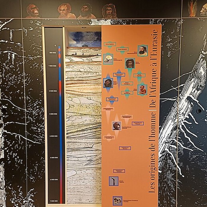 Photo de Musée de la préhistoire du Vercors