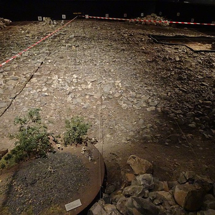 Photo de Musée de la préhistoire du Vercors