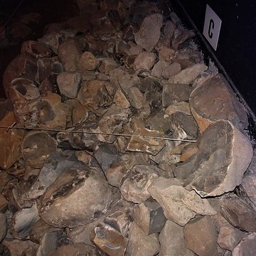 Musée de la préhistoire du Vercors