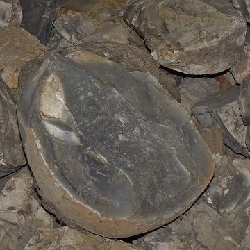 Musée de la préhistoire du Vercors