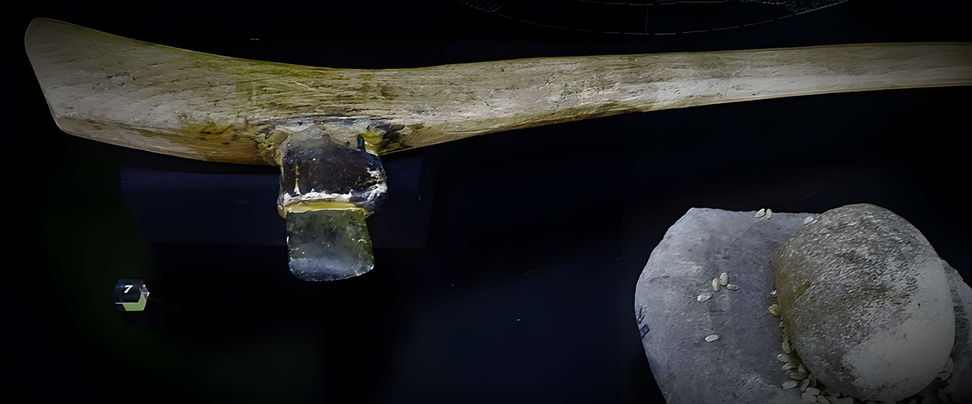 Musée de la préhistoire du Vercors