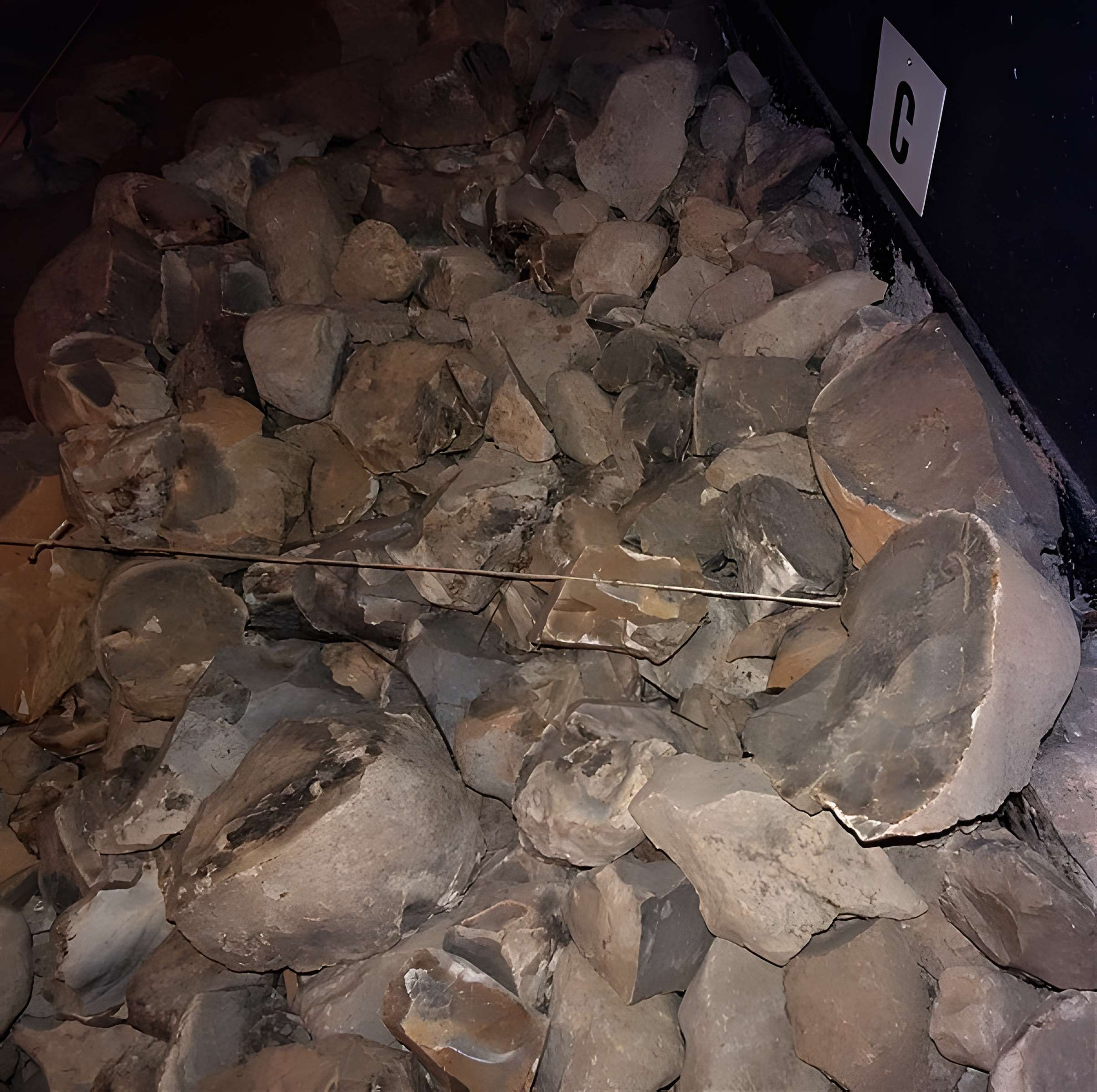 Musée de la préhistoire du Vercors