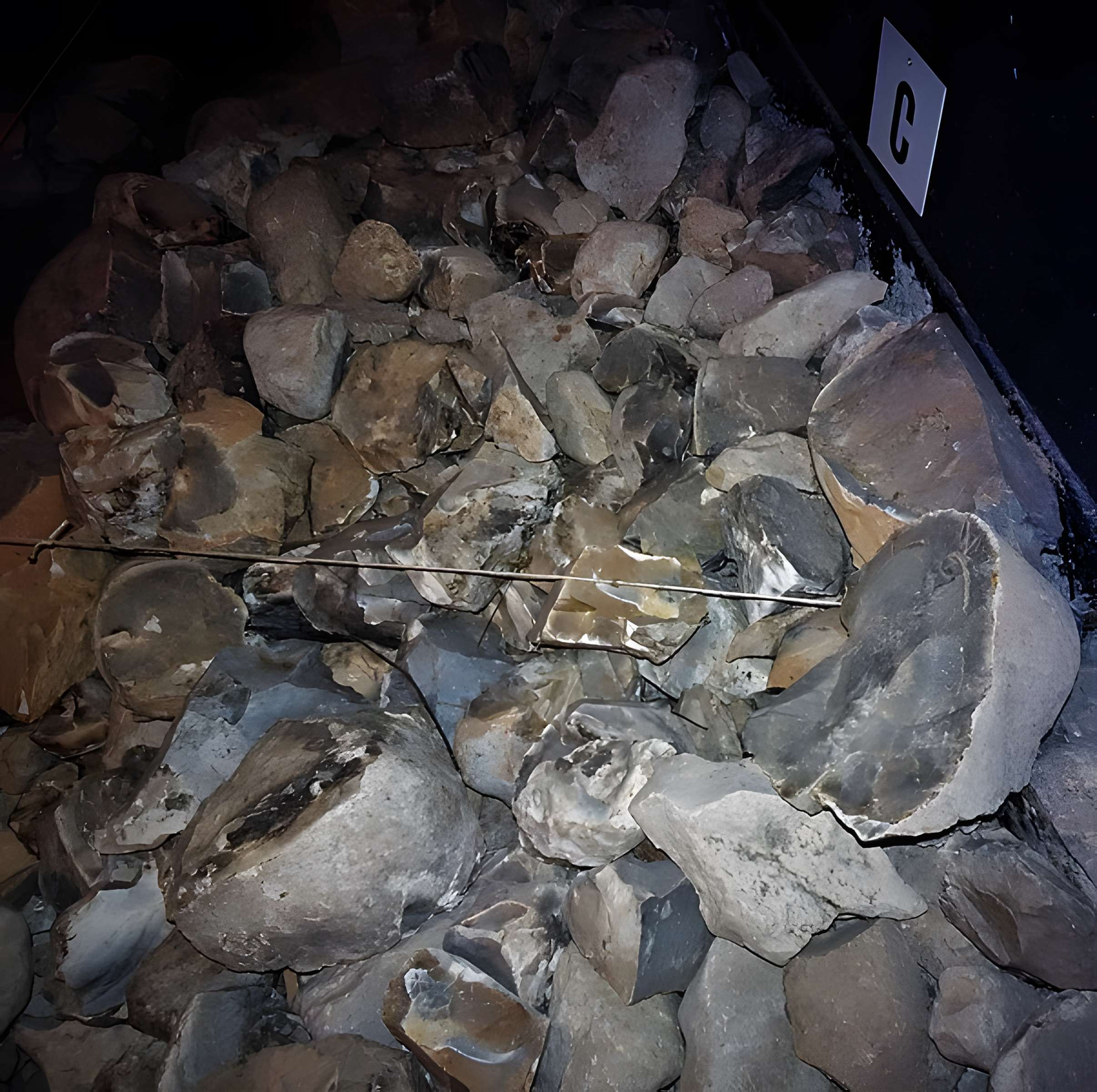 Musée de la préhistoire du Vercors