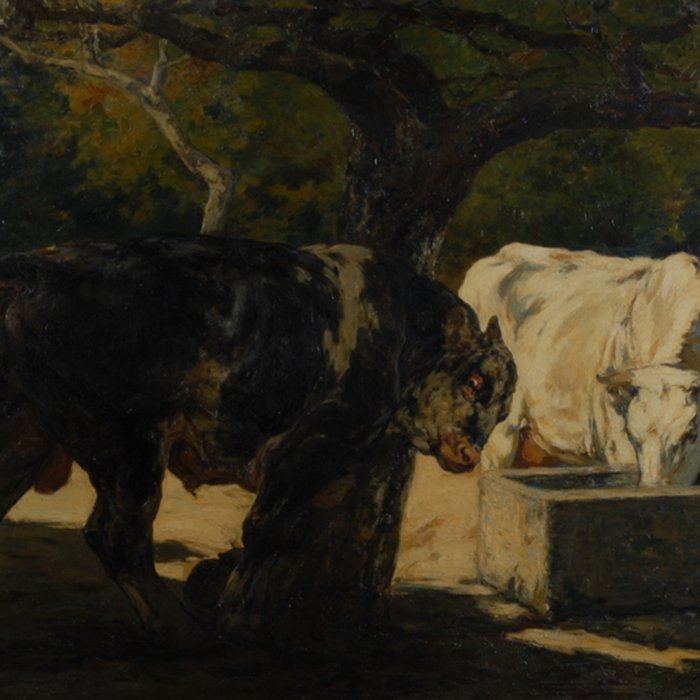 Photo de Musée Municipal