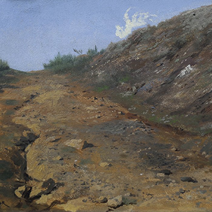 Photo de Musée Blanche Hoschedé-Monet