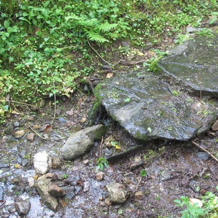 Photo de Ecomusée des Monts dArrée - Kerouat