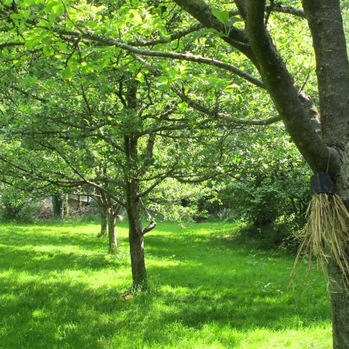 Photo de Ecomusée des Monts dArrée - Kerouat