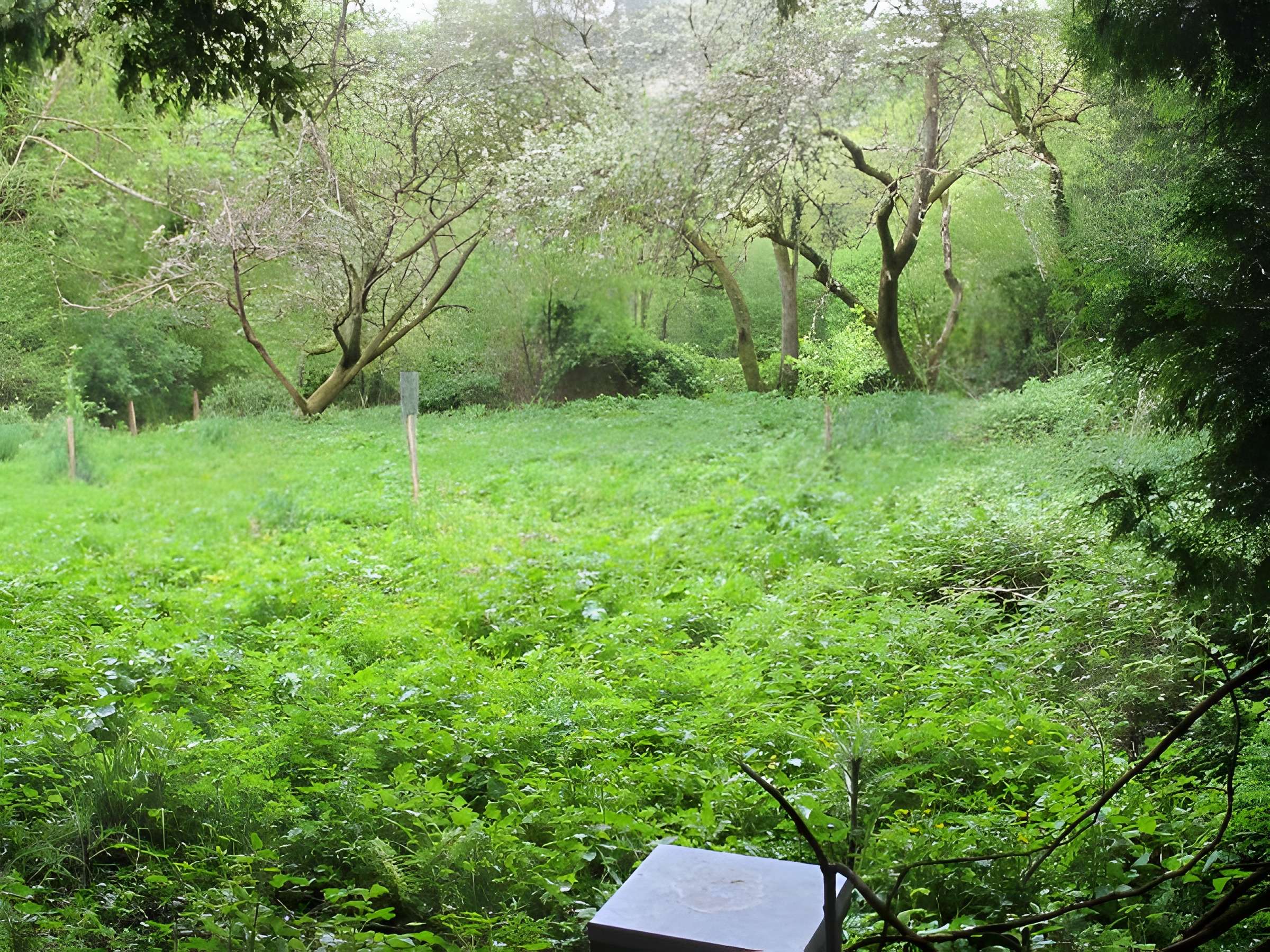 Ecomusée des Monts d'Arrée - Kerouat