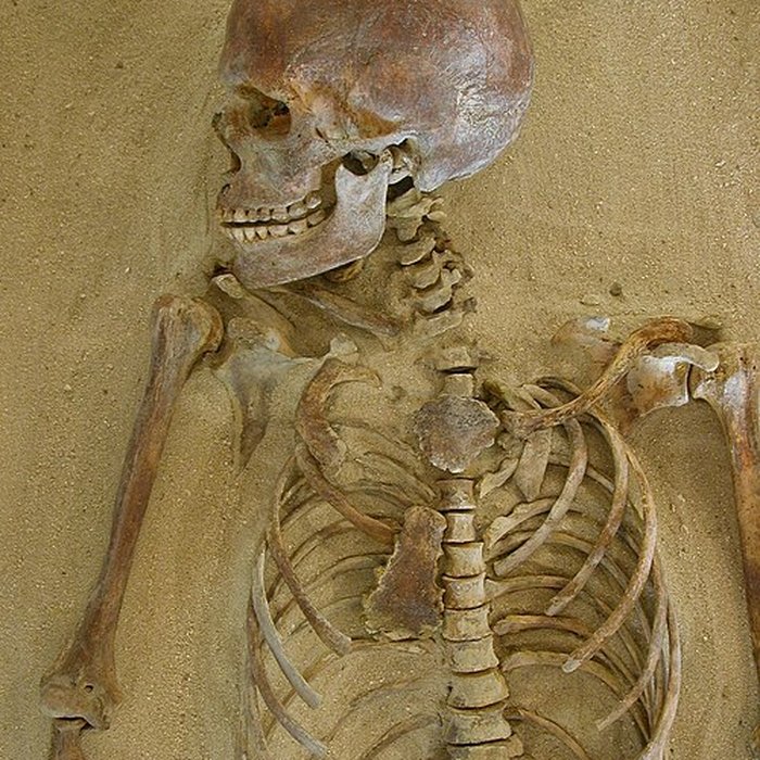 Photo de Musée de lAlta Rocca