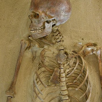 Musée de lAlta Rocca