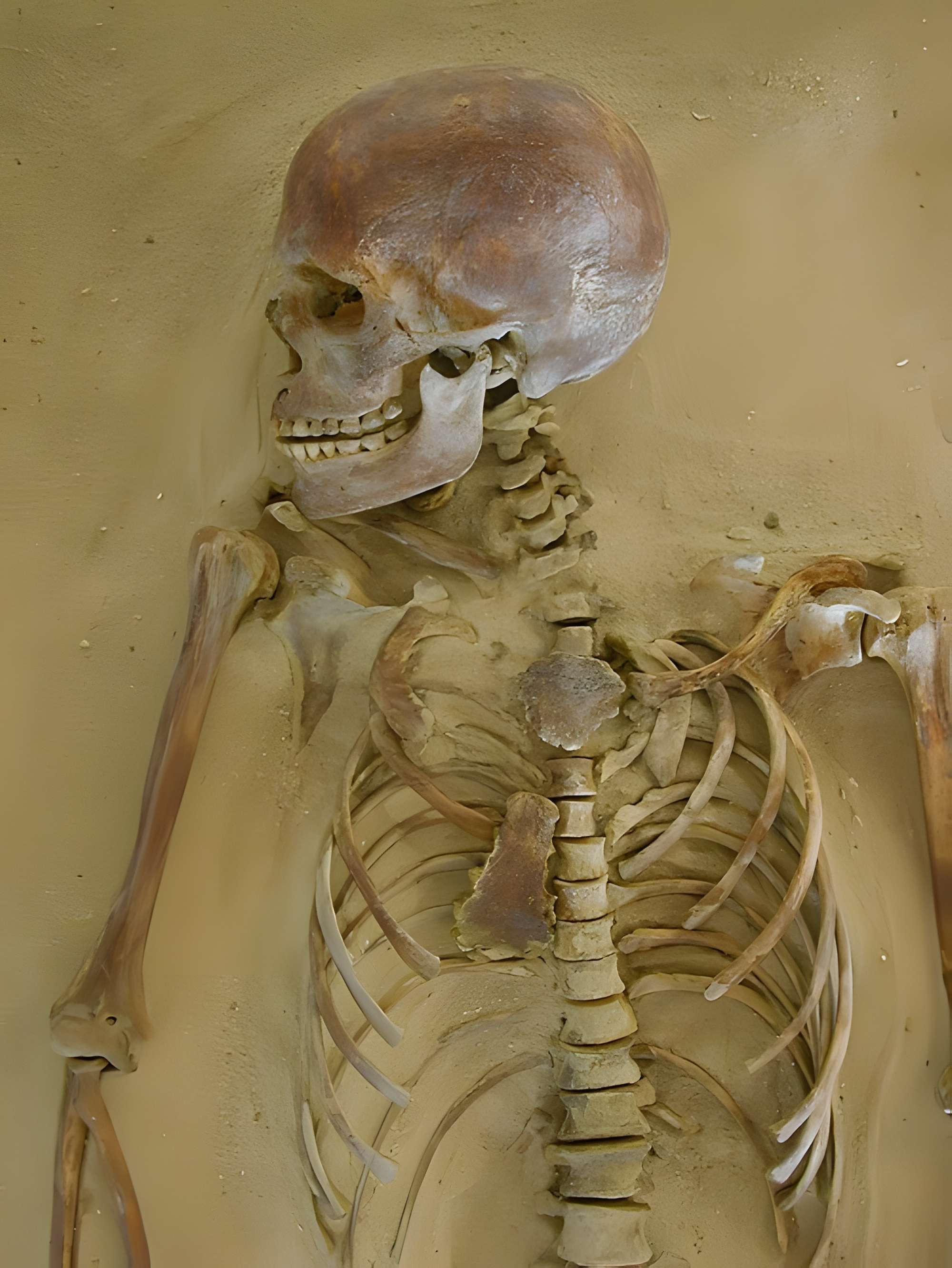 Musée de l'Alta Rocca