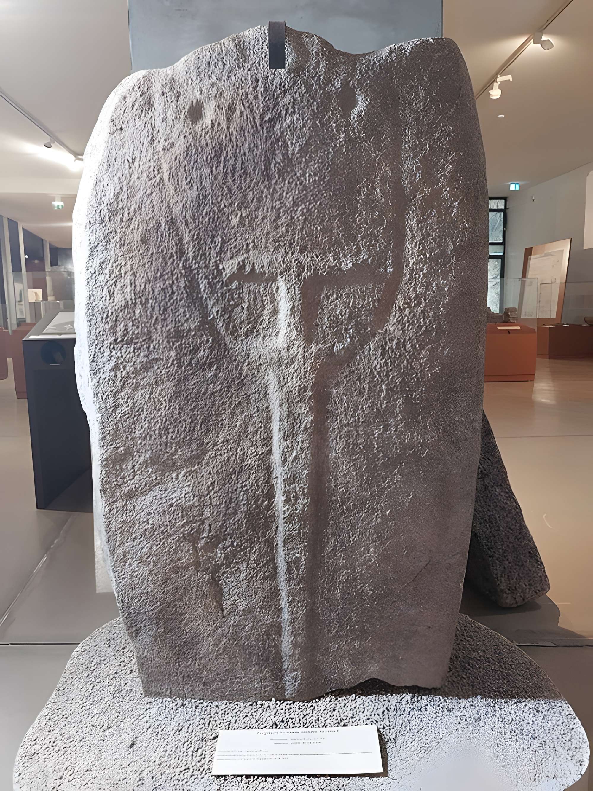 Musée de l'Alta Rocca