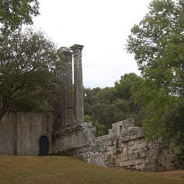 Temple romain de Château-Bas à Vernègues