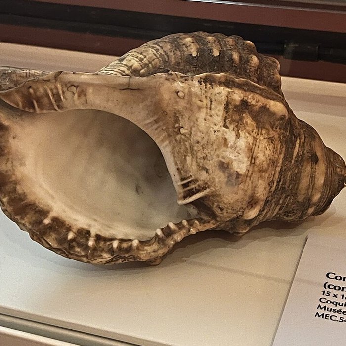 Photo de Musée d’ethnographie corse