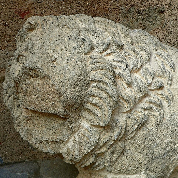 Photo de Musée Jérôme Carcopino