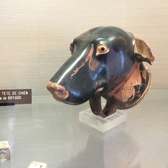 Photo de Musée Jérôme Carcopino