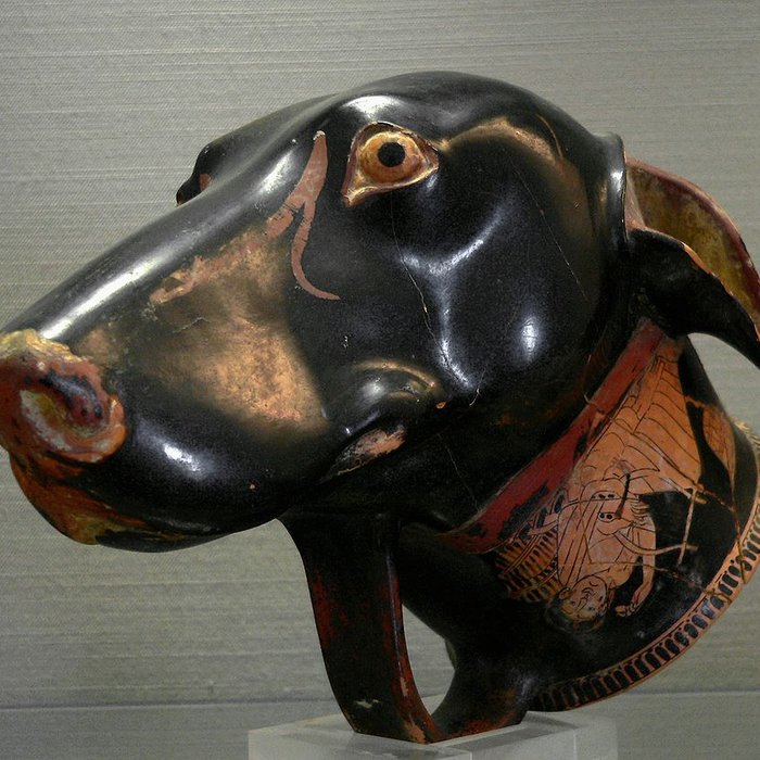 Photo de Musée Jérôme Carcopino