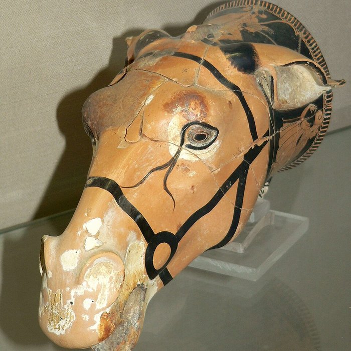 Photo de Musée Jérôme Carcopino