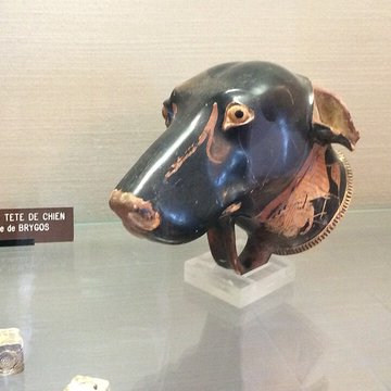 Musée Jérôme Carcopino