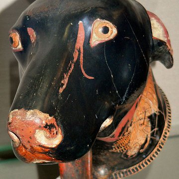 Musée Jérôme Carcopino