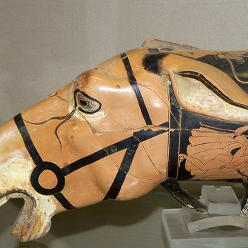 Musée Jérôme Carcopino