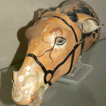 Musée Jérôme Carcopino