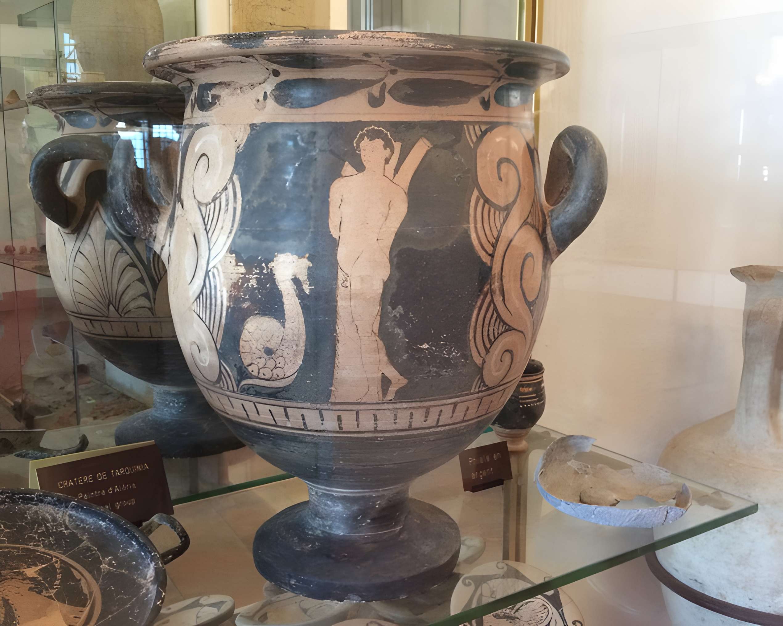 Musée Jérôme Carcopino