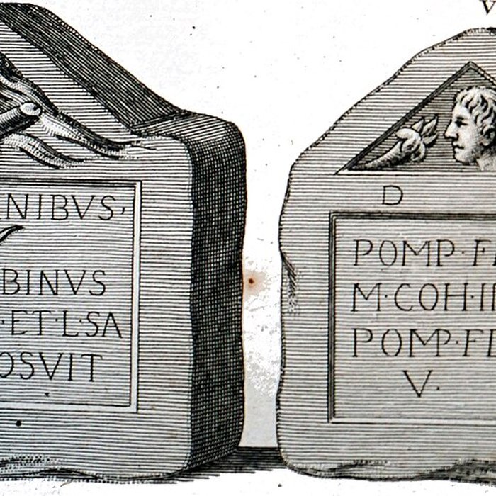 Photo de Musée darchéologie