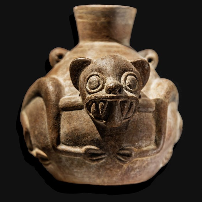 Photo de Musée des Amériques - Auch