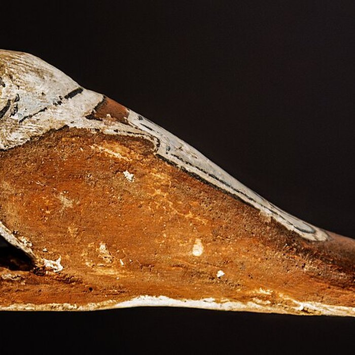 Photo de Musée des Amériques - Auch